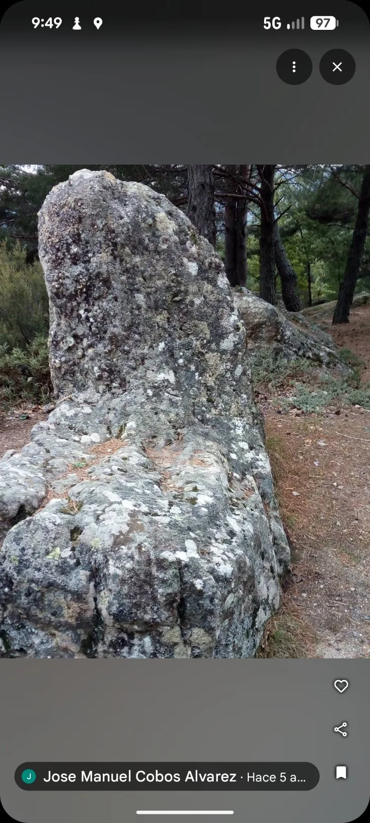 Pinar de Adrados photo 4