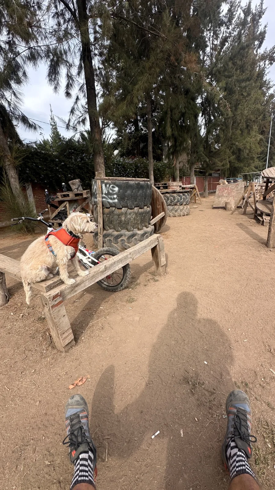 Trial Park Ñuñoa photo 4