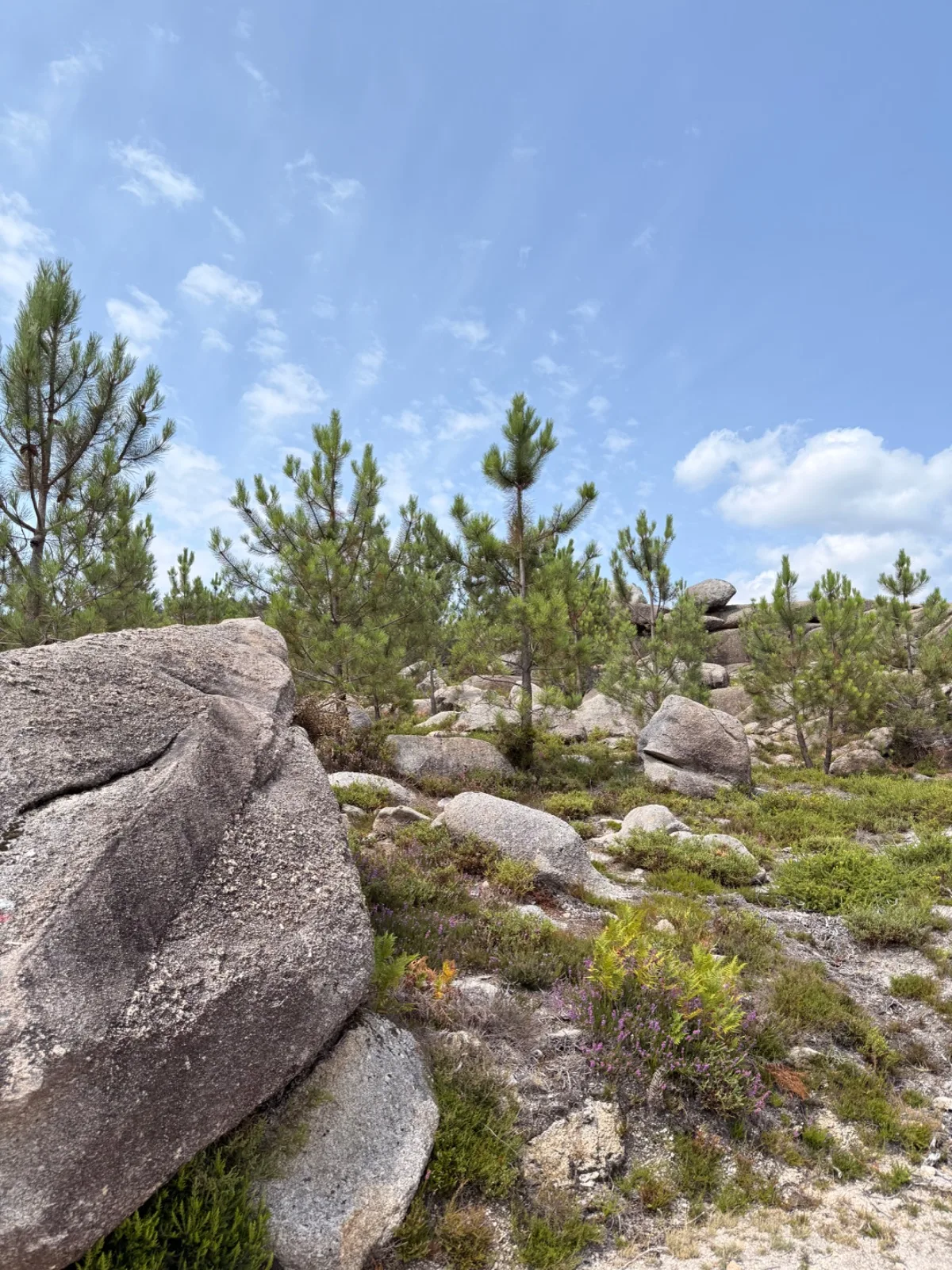 Gerês Trilho Miradouros photo 1