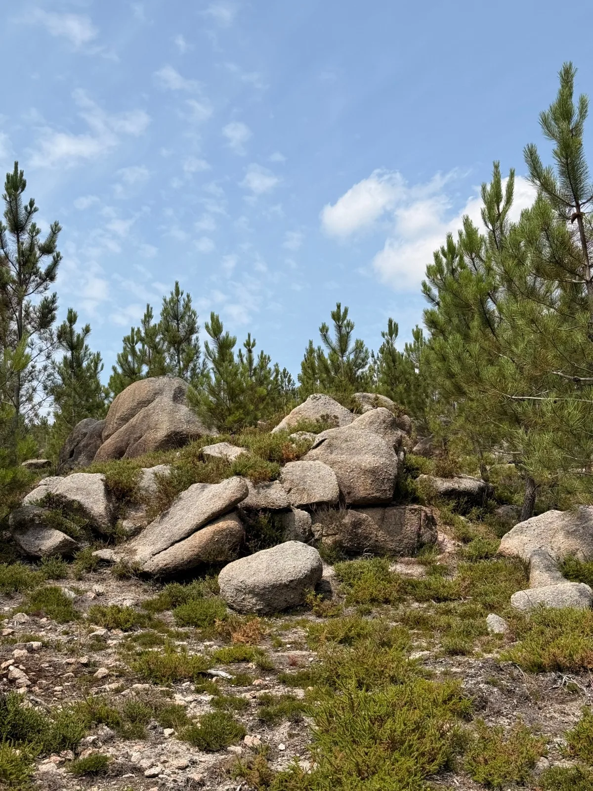 Gerês Trilho Miradouros photo 2