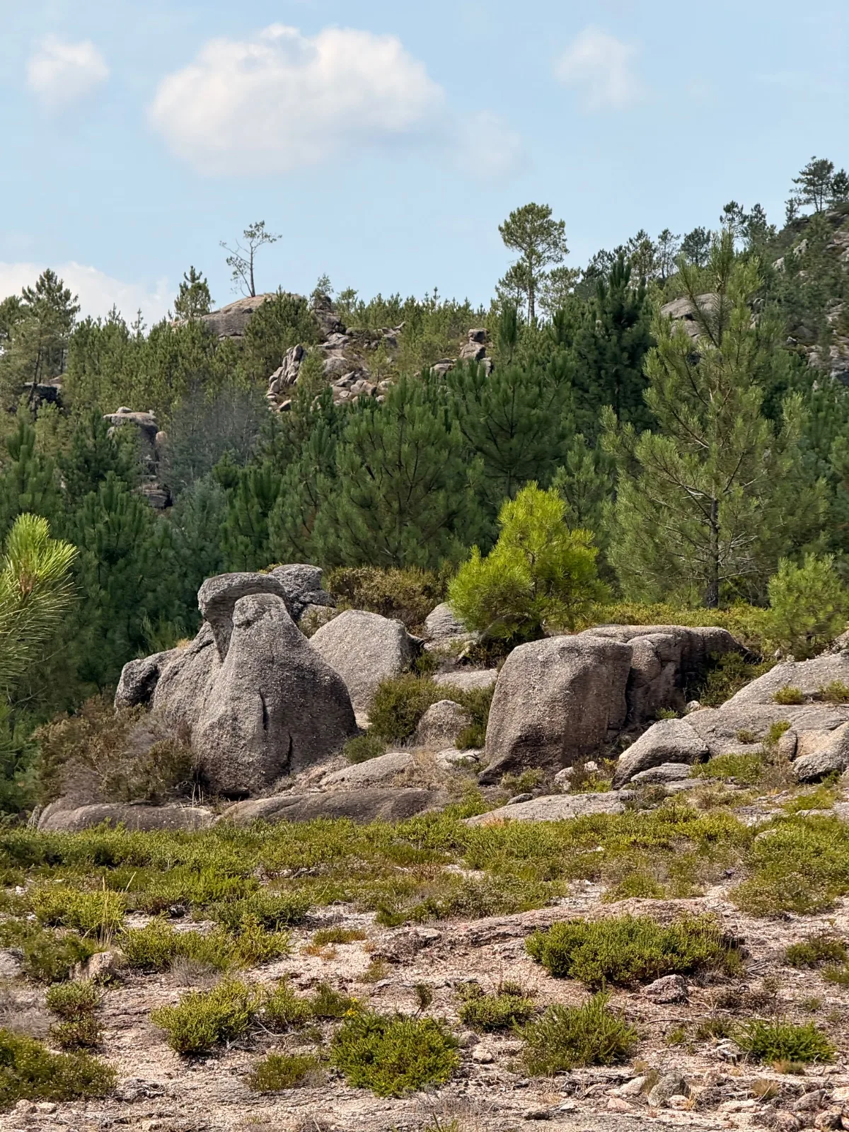 Gerês Trilho Miradouros photo 3