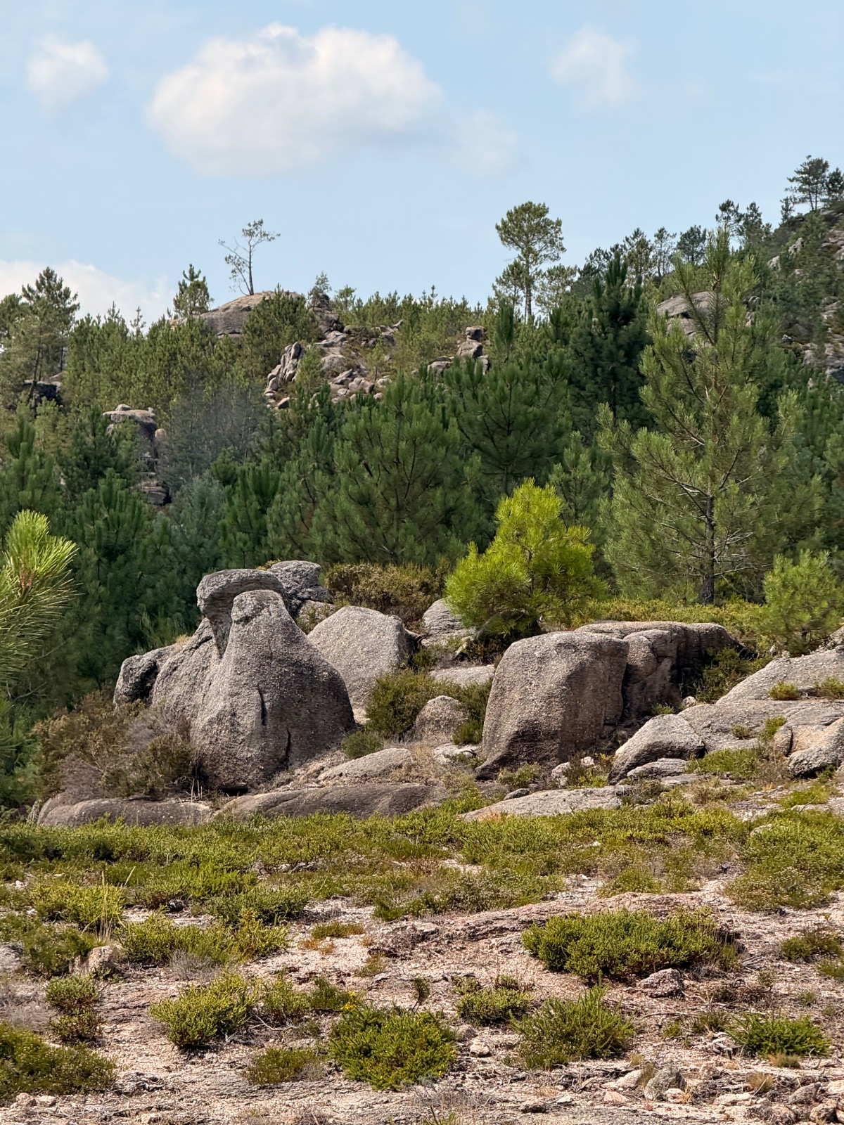 Gerês Trilho Miradouros photo 3