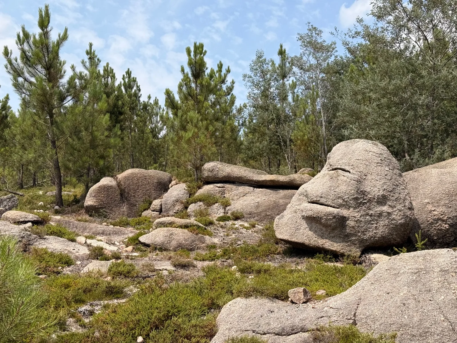 Gerês Trilho Miradouros photo 4