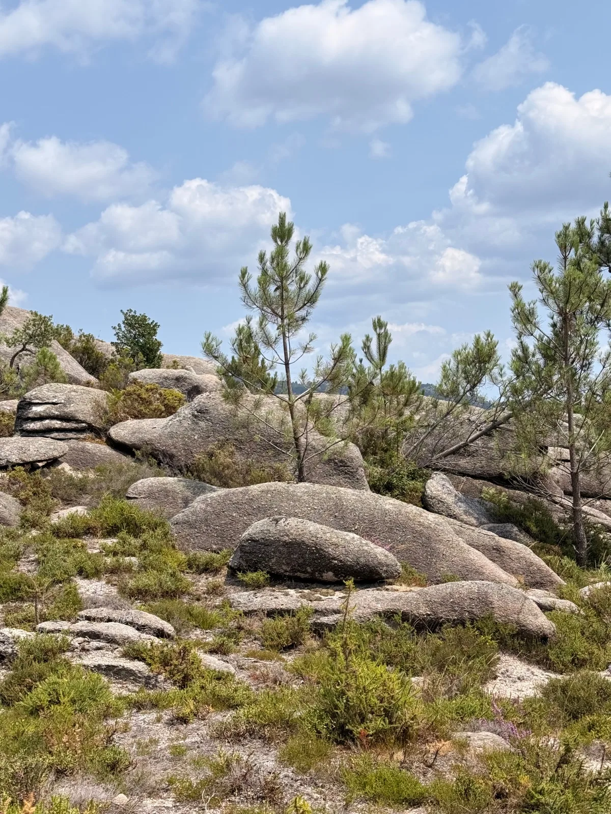 Gerês Trilho Miradouros photo 5