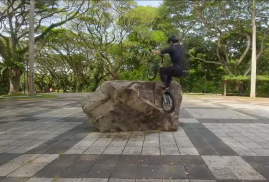 Pasir Ris Park Rocks photo 1