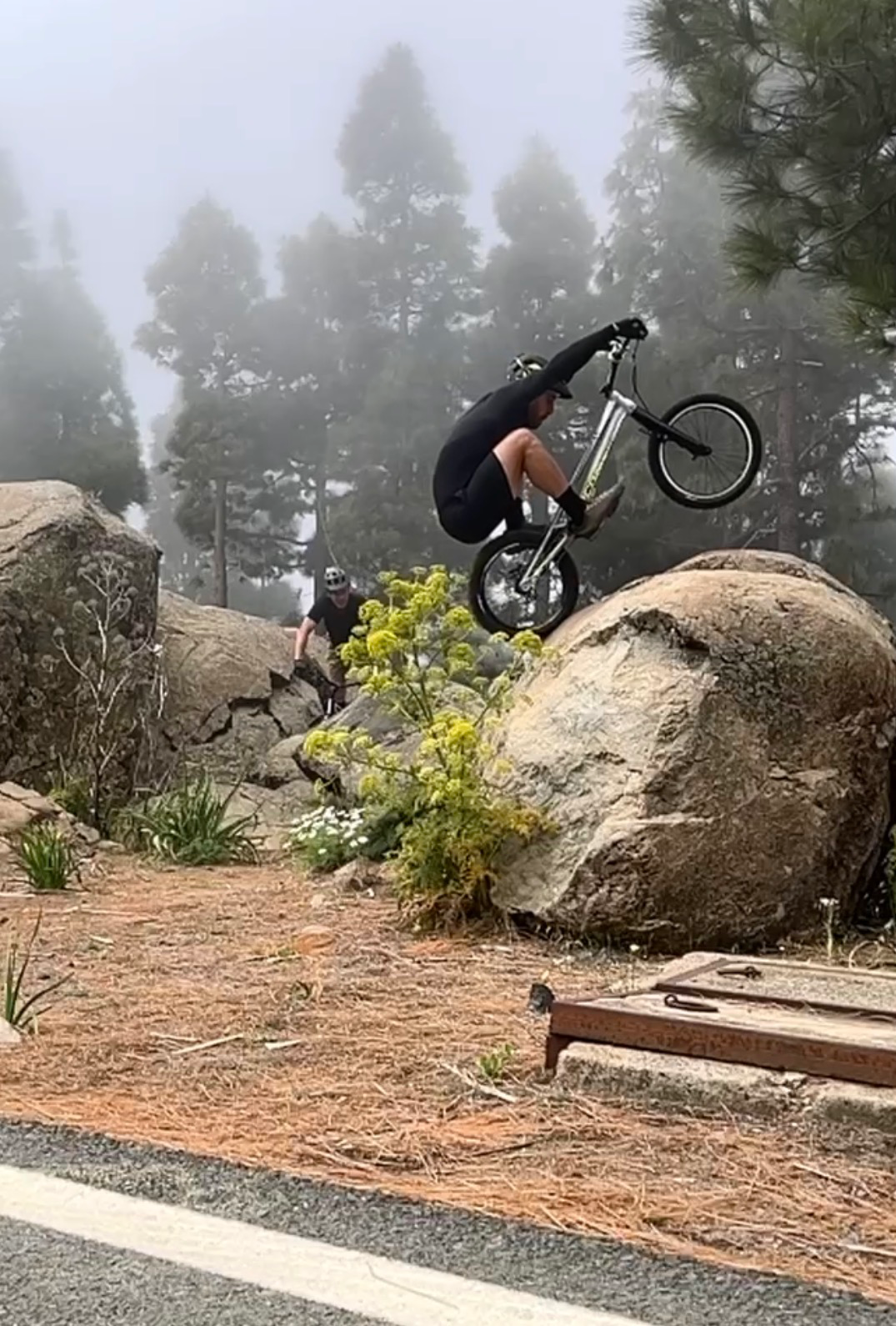 Pico de las nieves photo 1